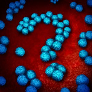 Superbug infection questions as multidrug resistant bacteria or MRSA medical healthcare concept and antimicrobial resistance health risk symbol as a three dimensional illustration of bacterium infection inside shaped as a question mark.